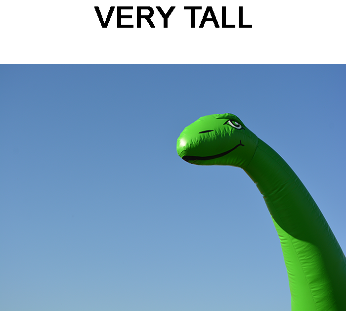 Dino Neck